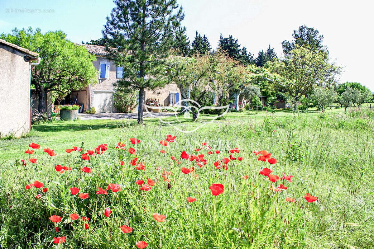 Maison à L'ISLE-SUR-LA-SORGUE