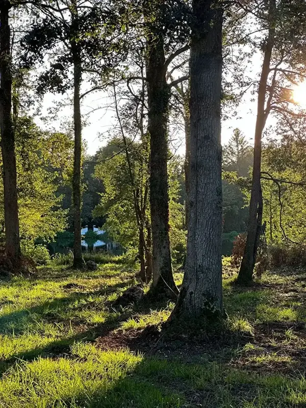 Terrain À Vendre ? 2 300 M² ? Vue Étang ? Cadre Calme - photo 2