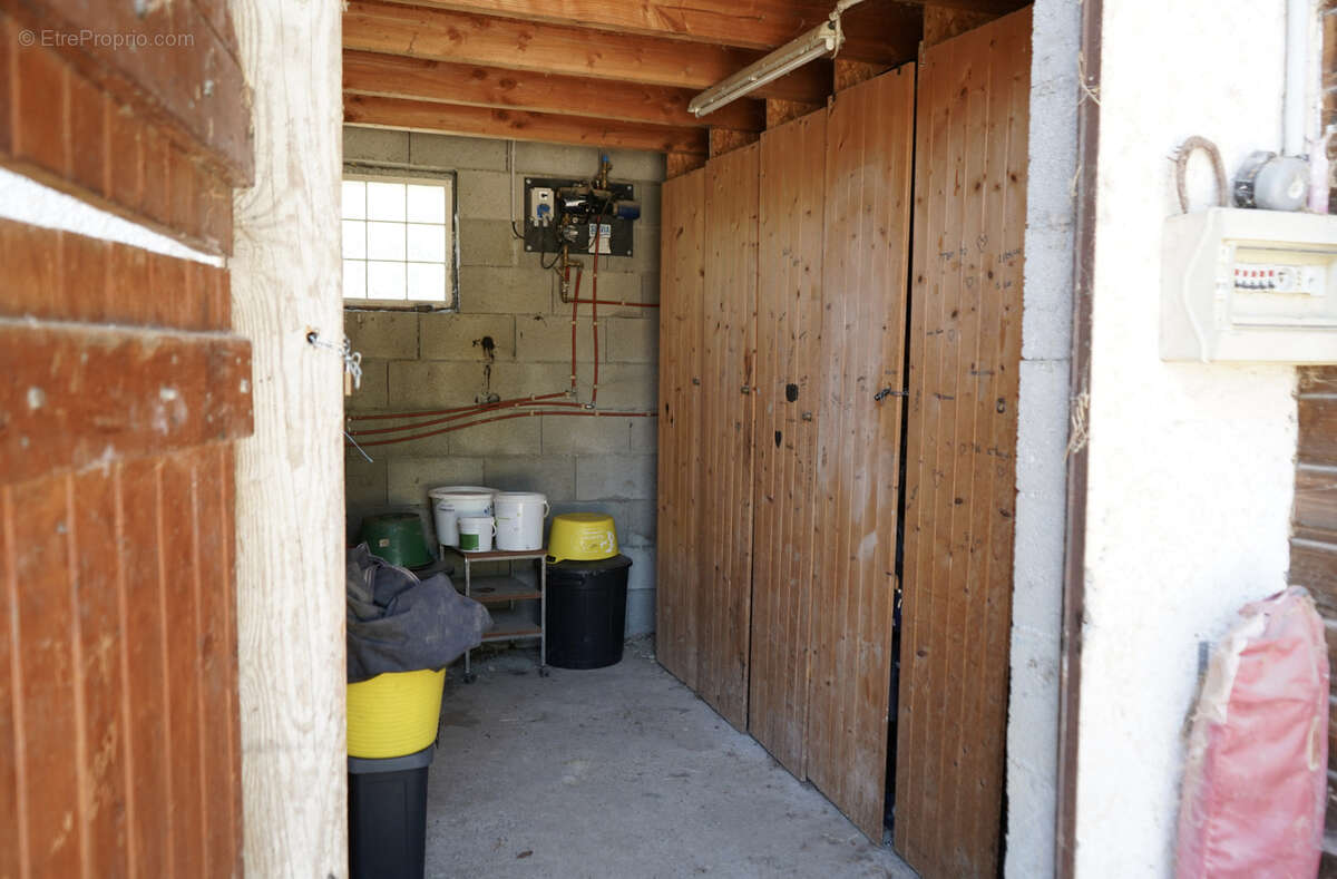 Haras du mas de meyrie - photo 18