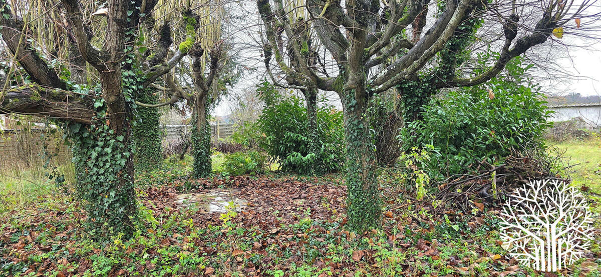 Maison  avec fort potentiel et terrain divisible à noisy-sur-école - photo 4