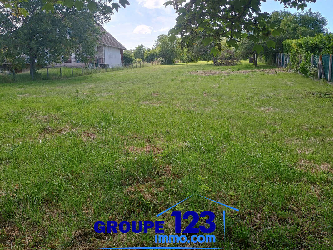 Terrain à AILLANT-SUR-THOLON