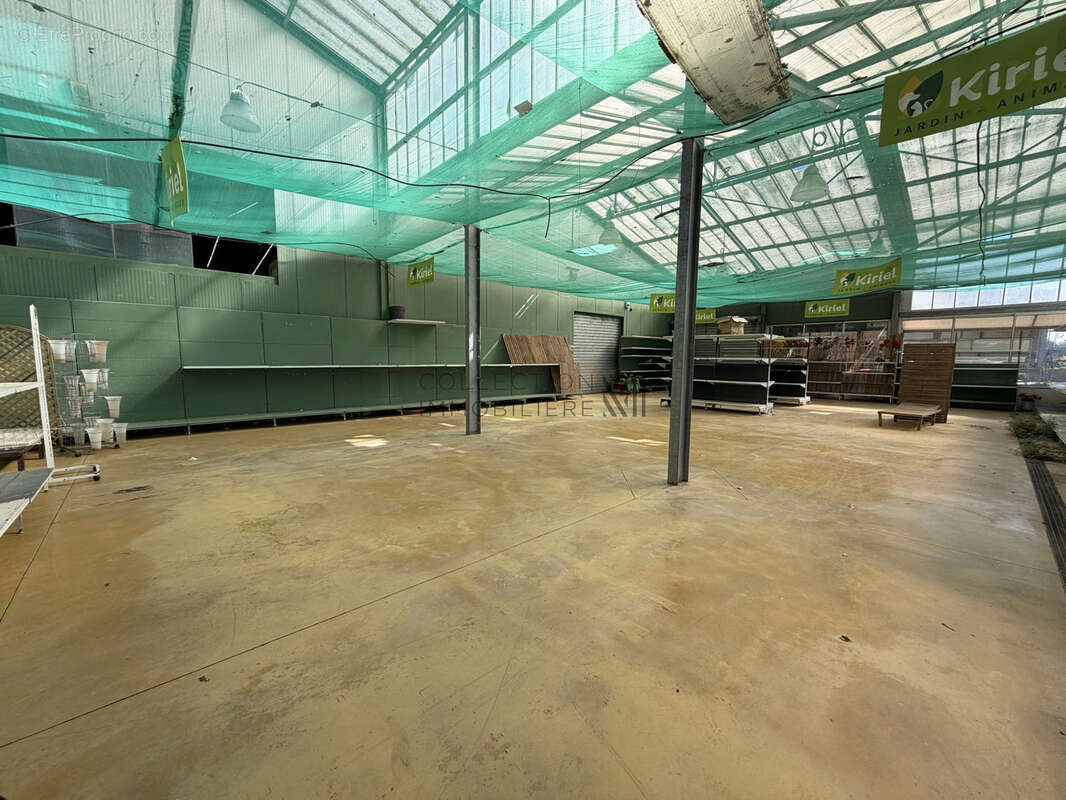 Local commercial auch de 2 600m2 - photo 5