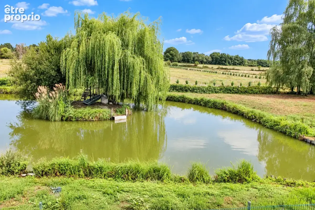 Saint nicolas de bourgueil - photo 17