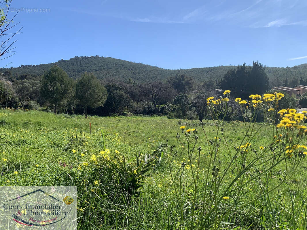 Terrain Le pradet - La Garonne - photo 3