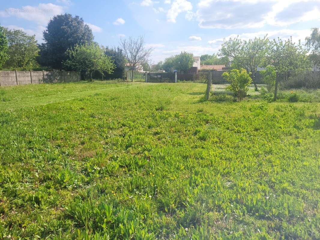 Terrain à SURGERES