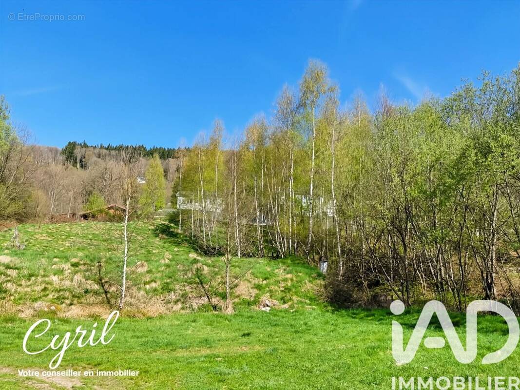 Photo 1 - Terrain à CORNIMONT