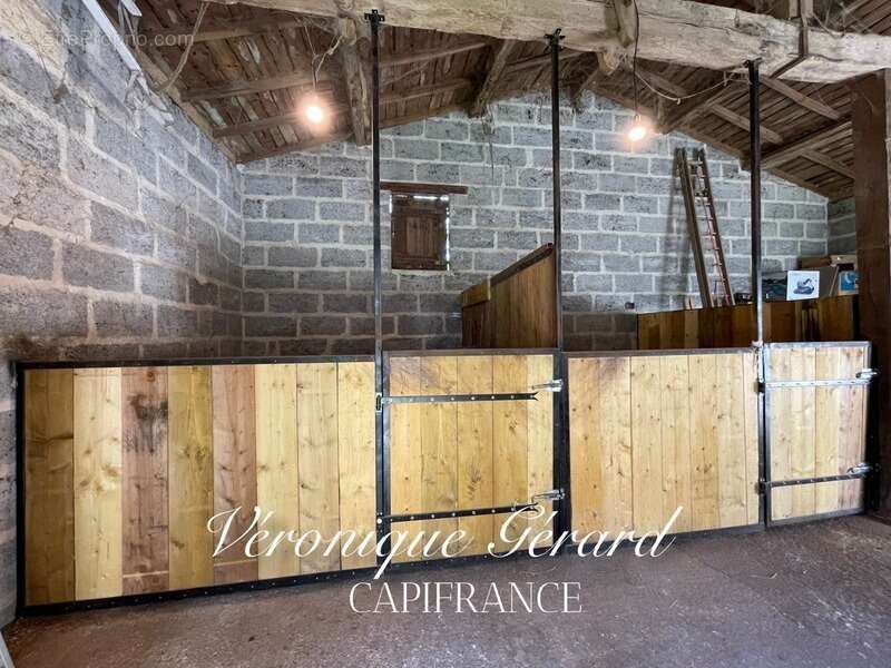 Belle Girondine avec Gîte et boxes pour chevaux à SAINT CHRISTOPHE DE DOUBLE sur 12000M² de terrain - photo 34