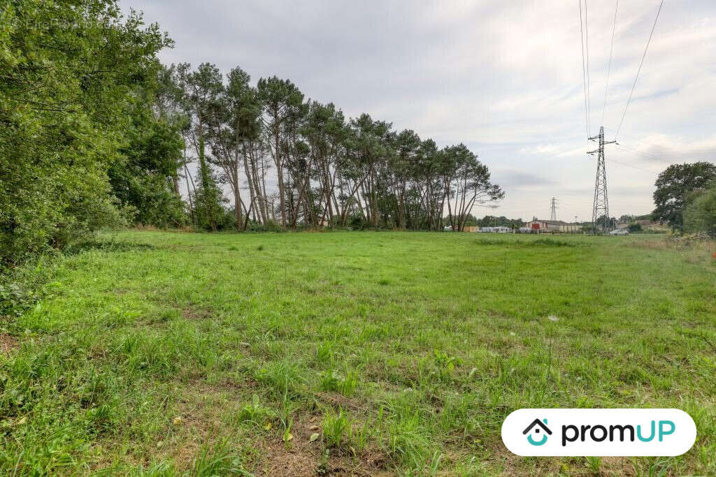 Terrain à SAINT-MARS-LA-BRIERE