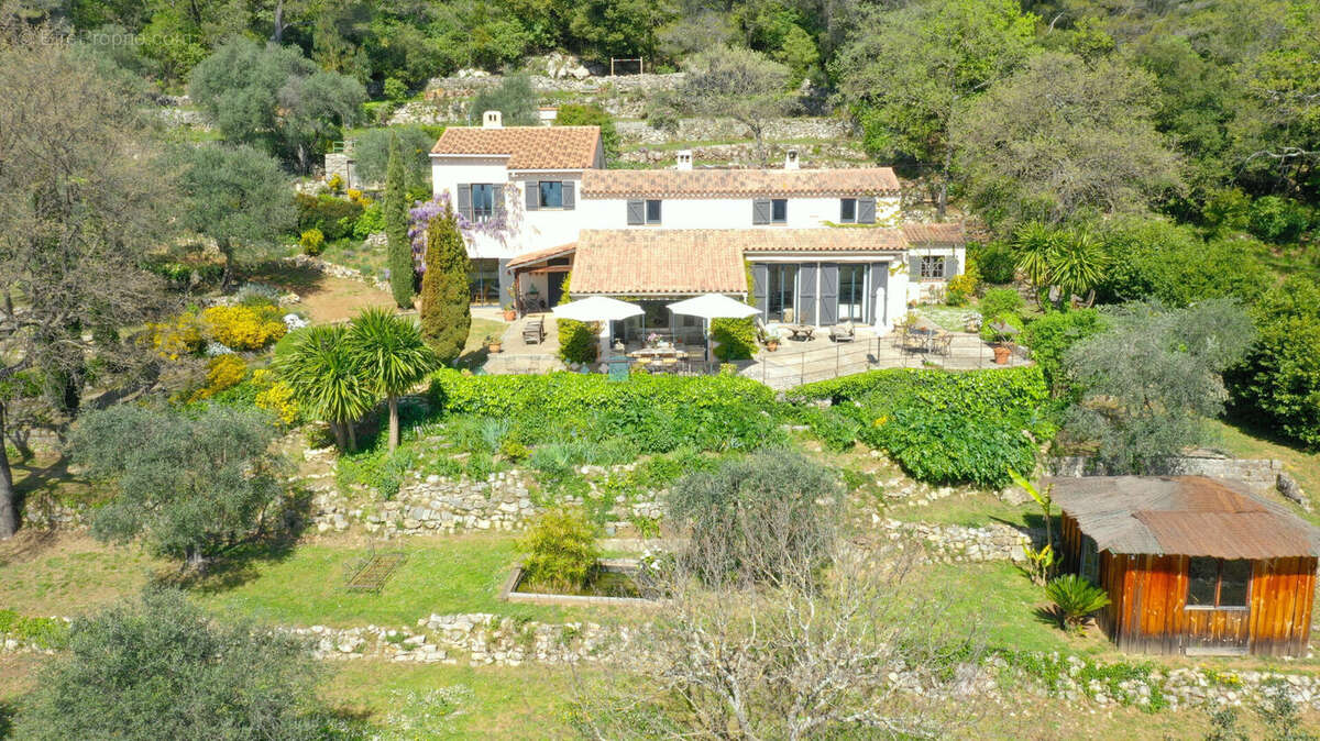 Villa Grasse 10 pièces 240 m² en 2 habitations sur oliveraie de 5147 m²  vue mer - photo 2