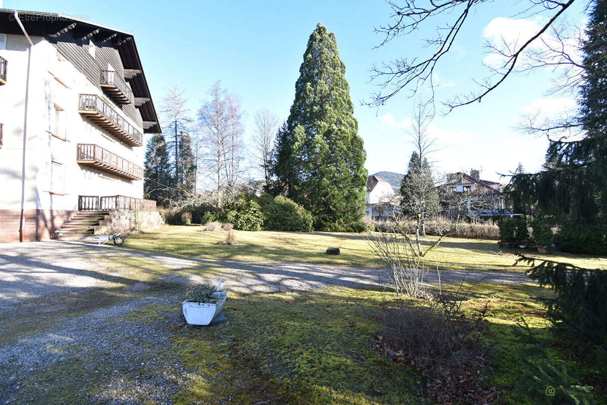 Appartement à SAINT-DIE-DES-VOSGES