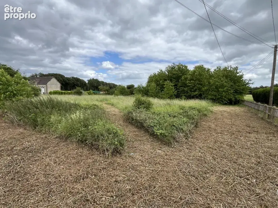 Terrain constructible arboré de 2 896 m² dans un environnement privilégié - La Madeleine de Nonancourt - photo 6