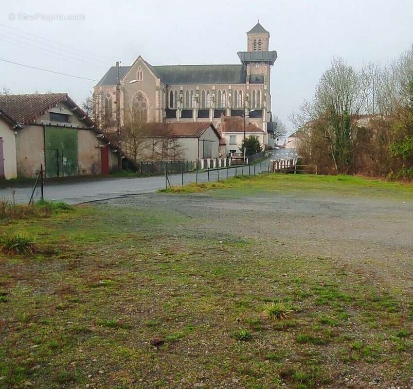 Terrain à MOUZILLON