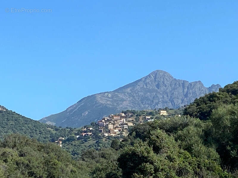 Dpt Corse (20), à vendre PARTINELLO, maison en pierres avec terrasse et parking, proche de la plage - photo 6