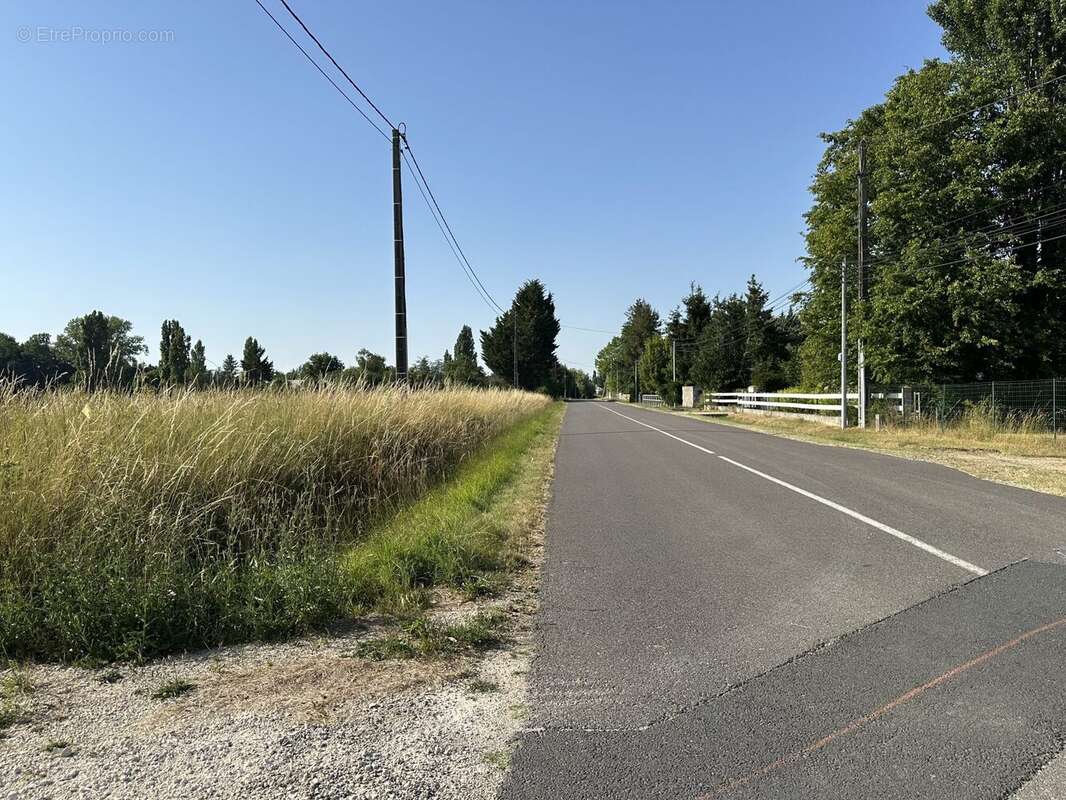 Terrain à LA COUR-MARIGNY