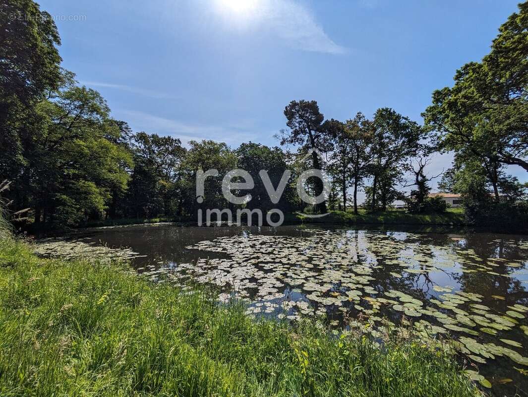 Terrain à SAINT-COLOMBAN