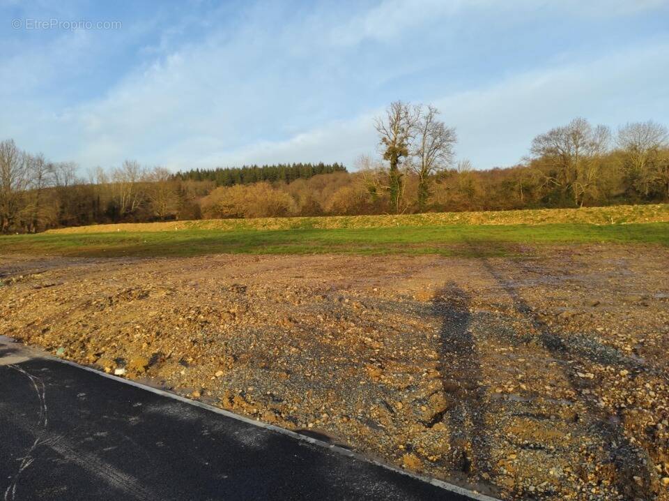Terrain à LE BREUIL-EN-AUGE