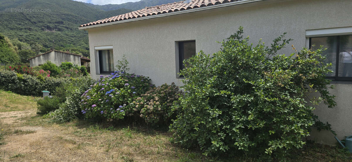 Villa  au calme Petreto Bicchisano - photo 10