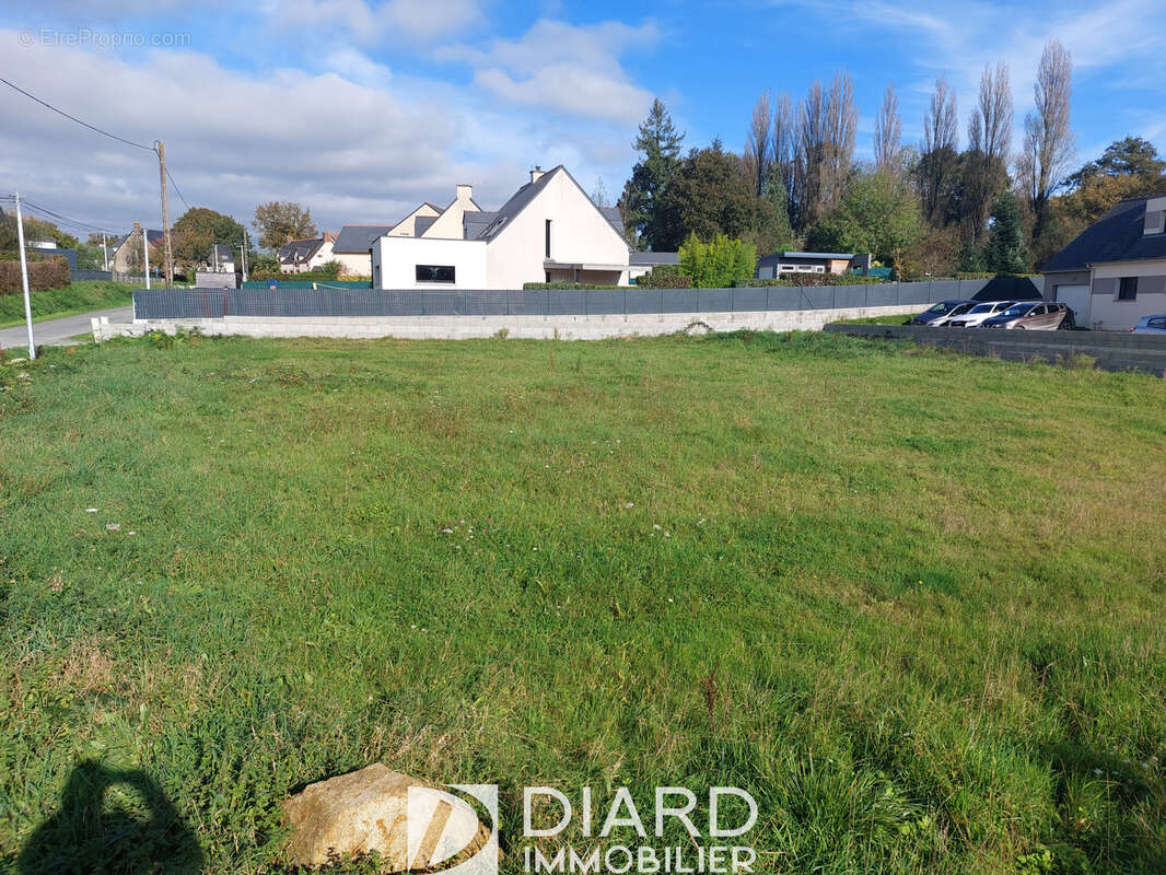 Terrain à LE PERTRE