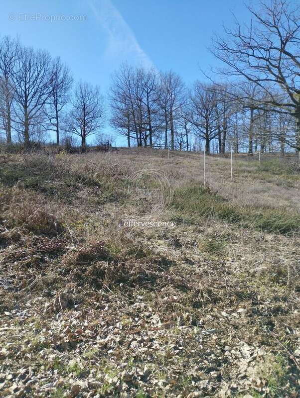 Terrain à SAINT-HILAIRE-LES-PLACES