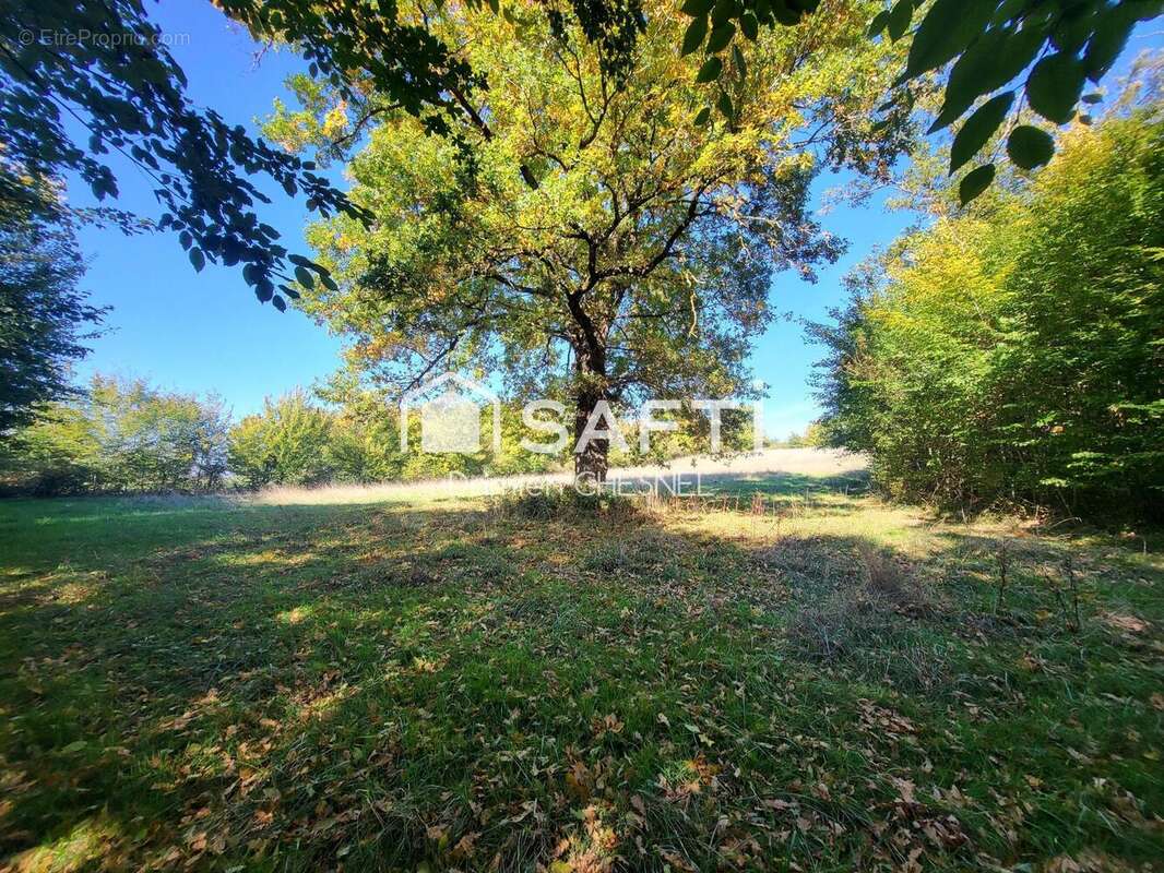 Photo 5 - Maison à MAISONNAIS