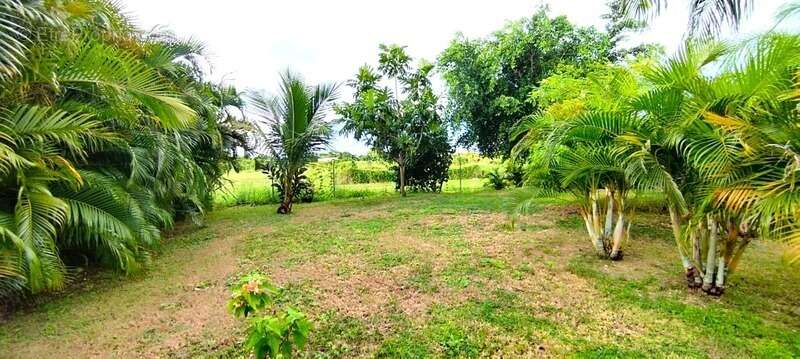 Maison à SAINT-FRANCOIS