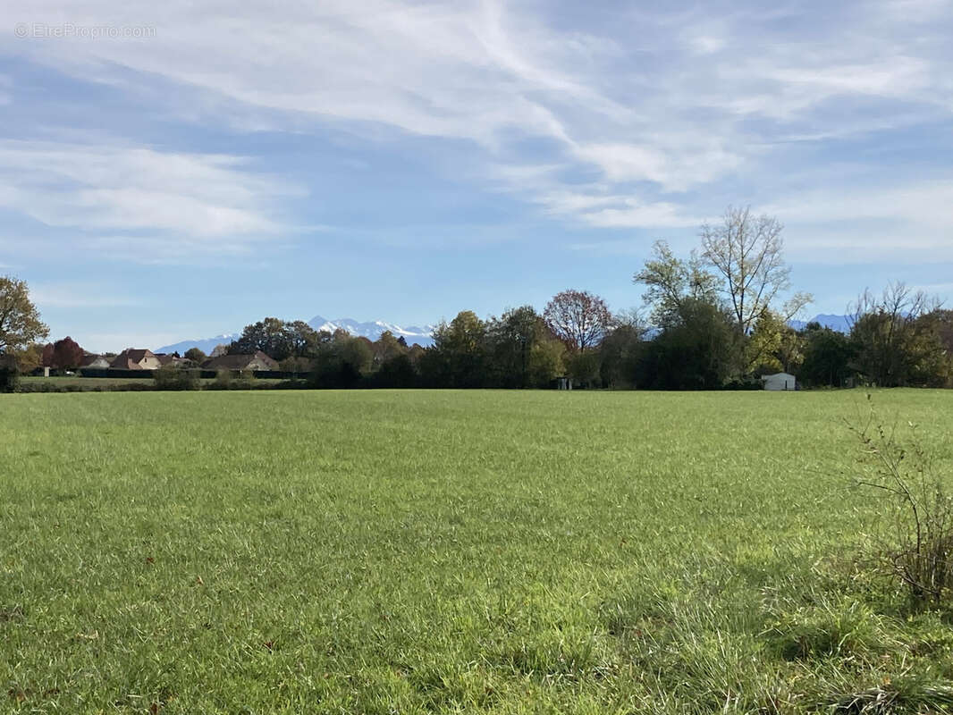 Terrain à AUSSEVIELLE