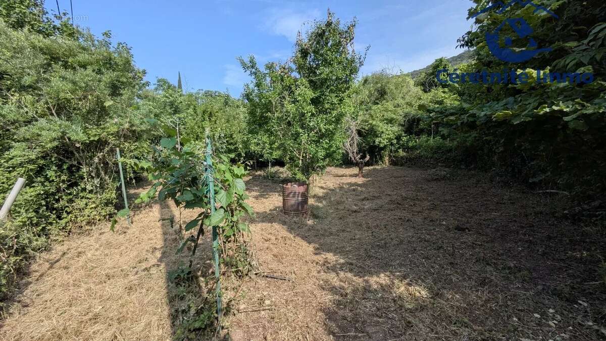 Terrain à CERET