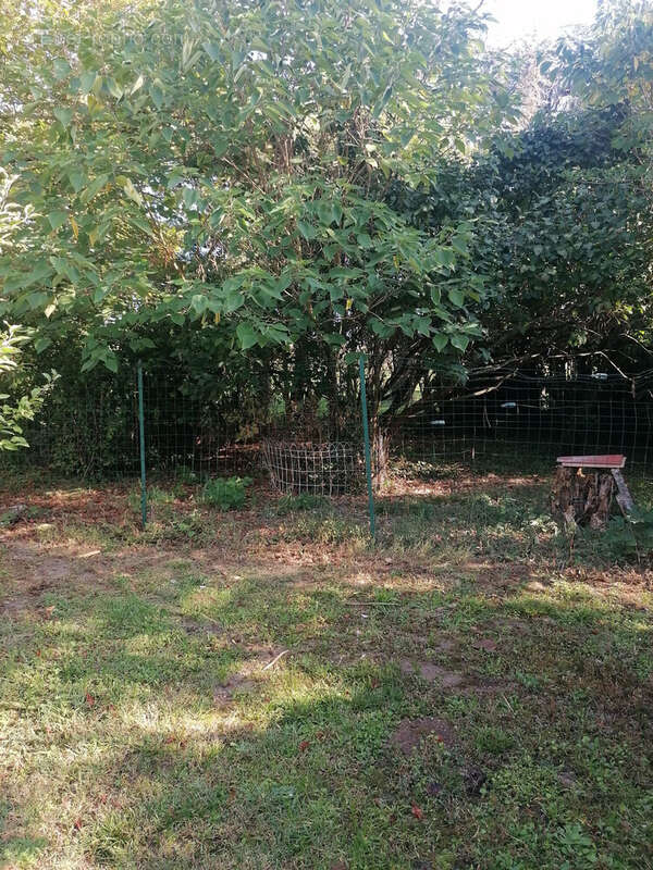 Maison à LISLE-SUR-TARN