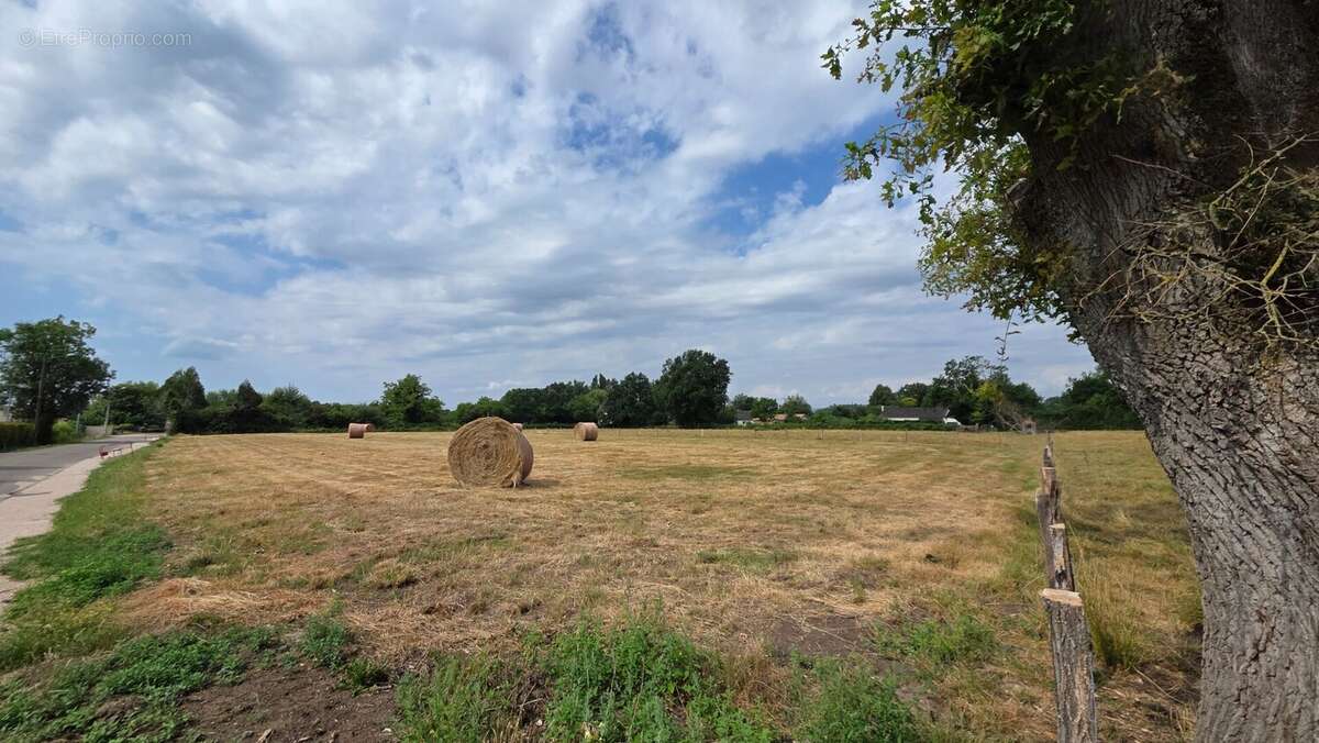 Terrain 1676 m² à Simandre  - photo 2