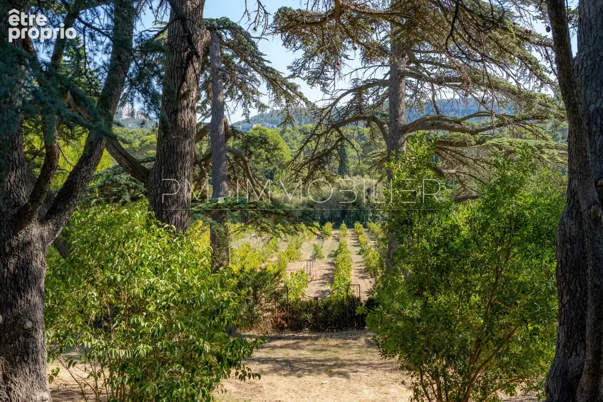 La bastide des cèdres - photo 6