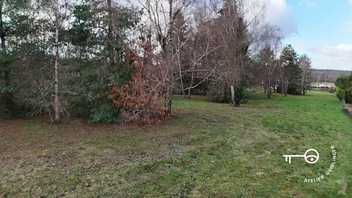 Terrain à MONTRIEUX-EN-SOLOGNE