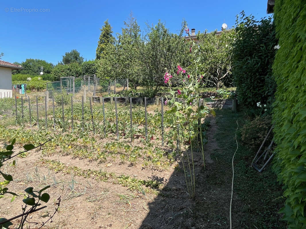 Maison à SAINT-VICTOR-SUR-RHINS