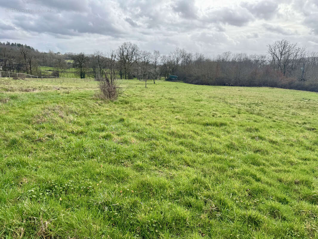 Terrain à SAINT-VIANCE