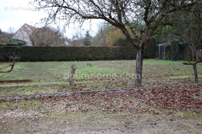 Maison à LAMOTTE-BEUVRON