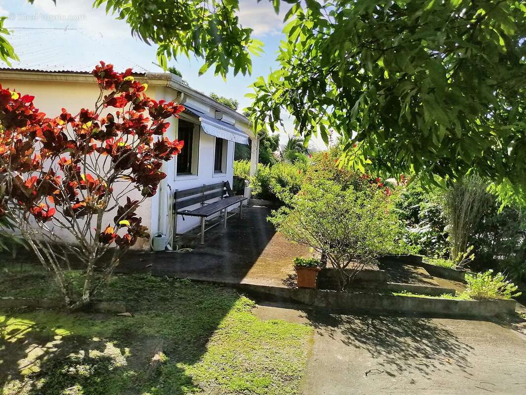 Maison à SAINT-PIERRE