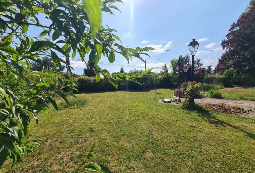 Terrain à BOIS-COLOMBES