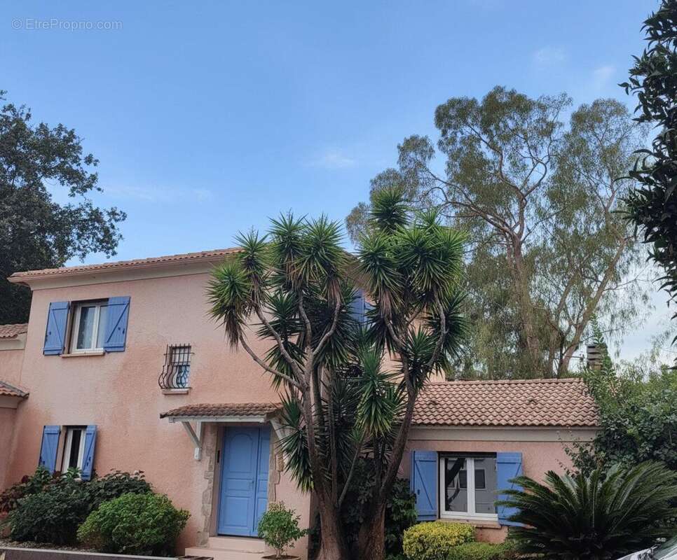 Photo 3 - Maison à SAN-NICOLAO