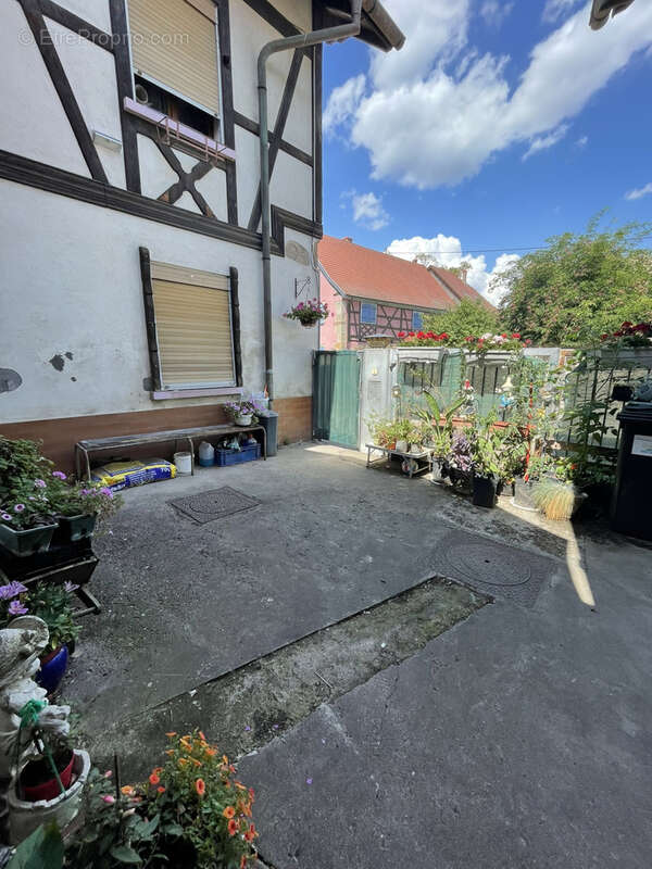 À vendre   boulangerie avec murs commerciaux & appartement   réguisheim - photo 19