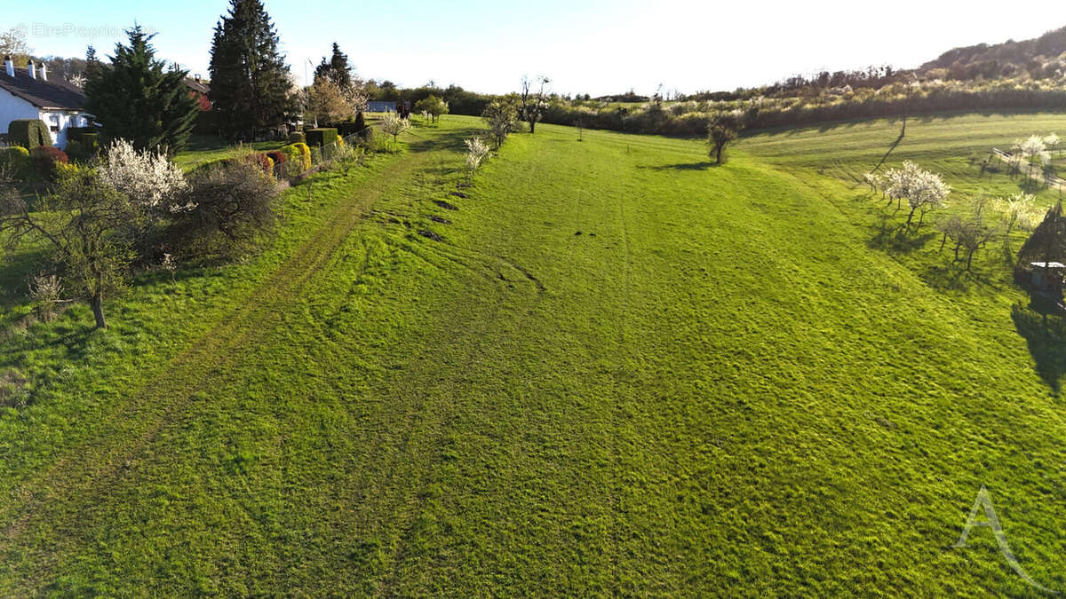 Terrain à KEMPLICH