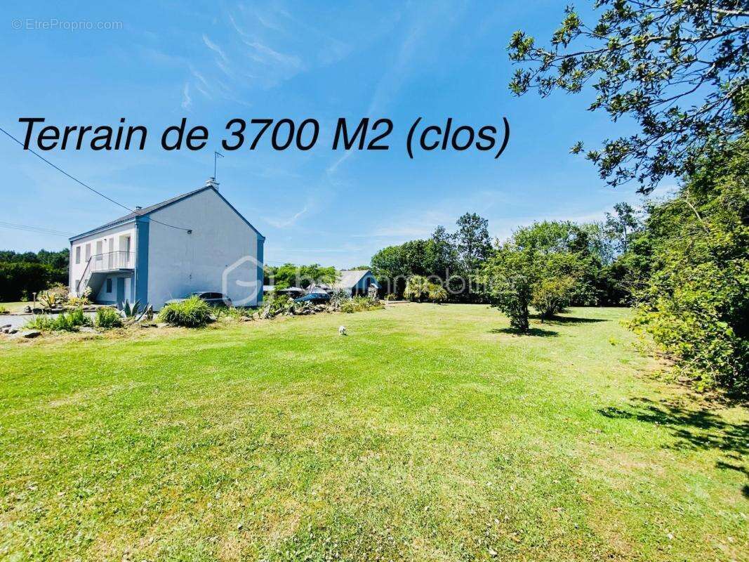 Maison de 161 m2 sur plus de 3700 m2 ( Appartement T3 indépendant pour location) - photo 2