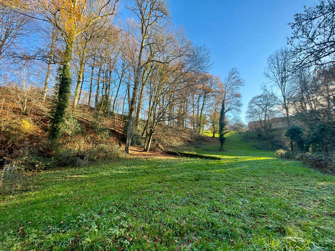 Maison à LANUEJOULS