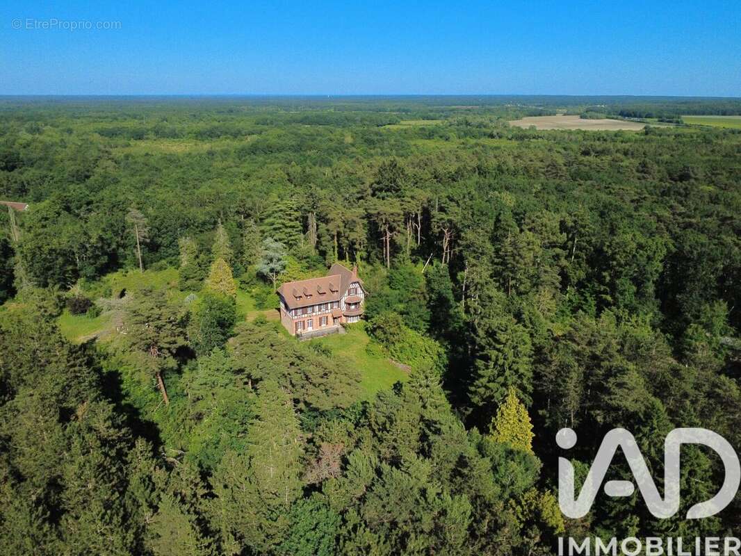 Photo 4 - Maison à MENNETOU-SUR-CHER