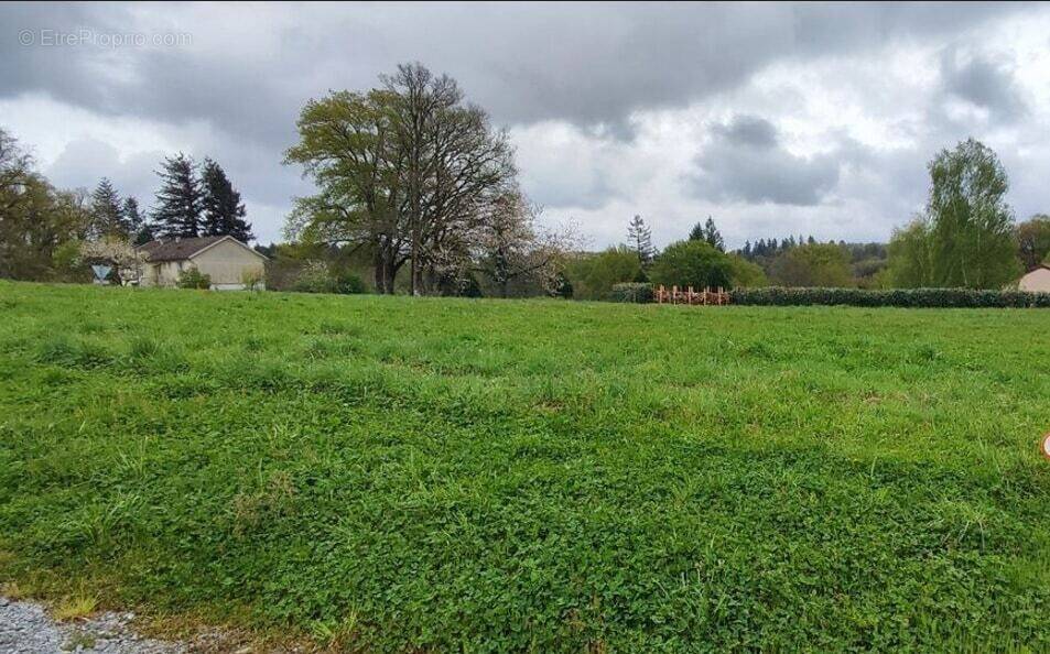 Terrain à BEAURAINS-LES-NOYON