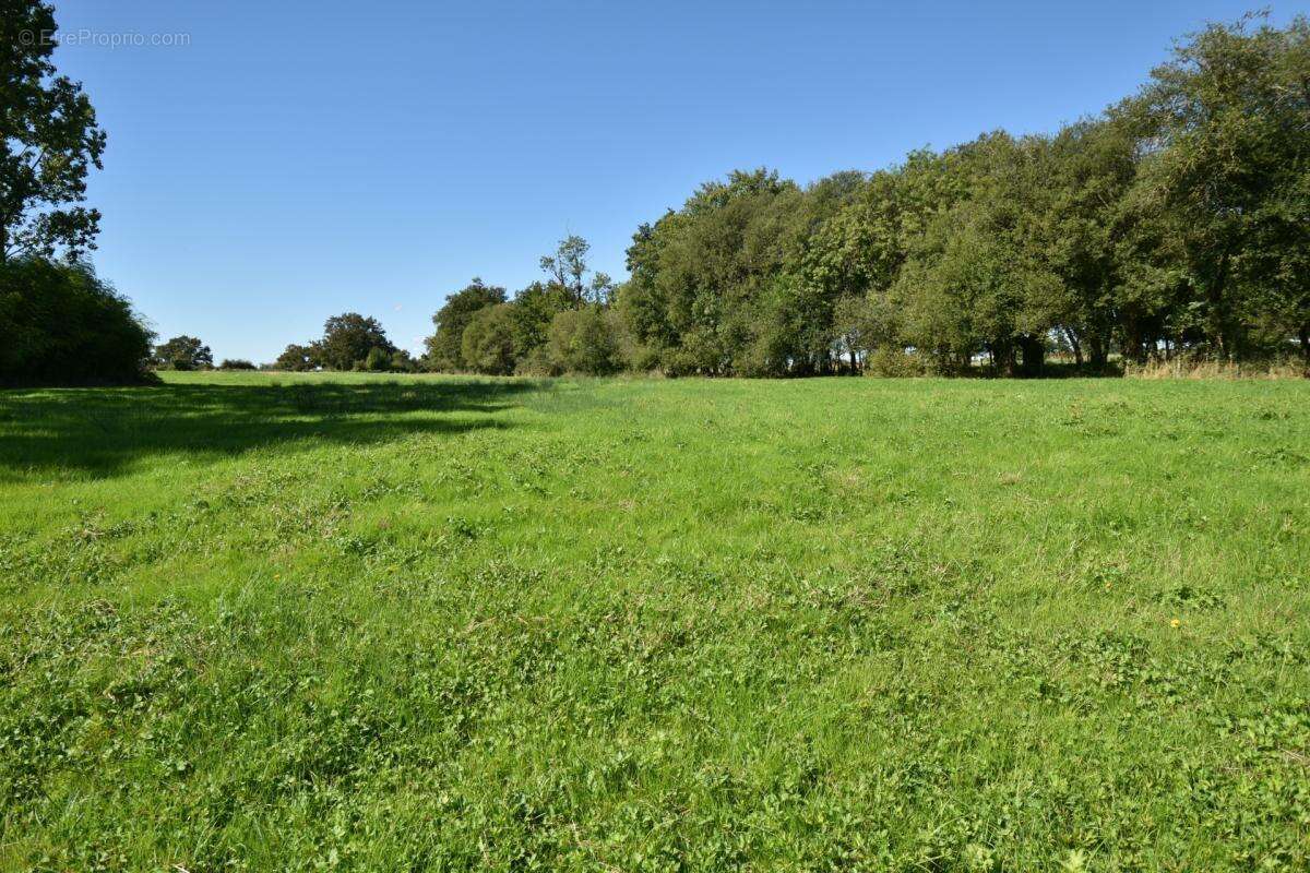 Terrain de loisir avec étang sur 2 ha - photo 5