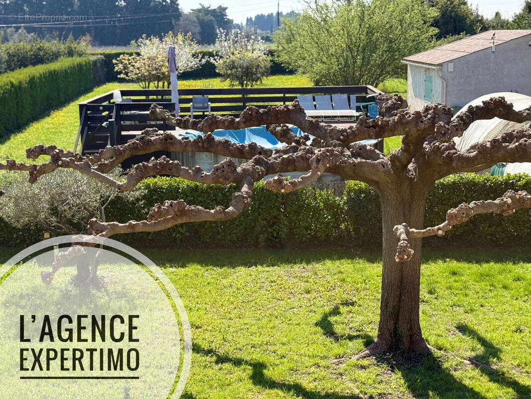 Plusieurs possibilités pour cette grande et belle maison - photo 6