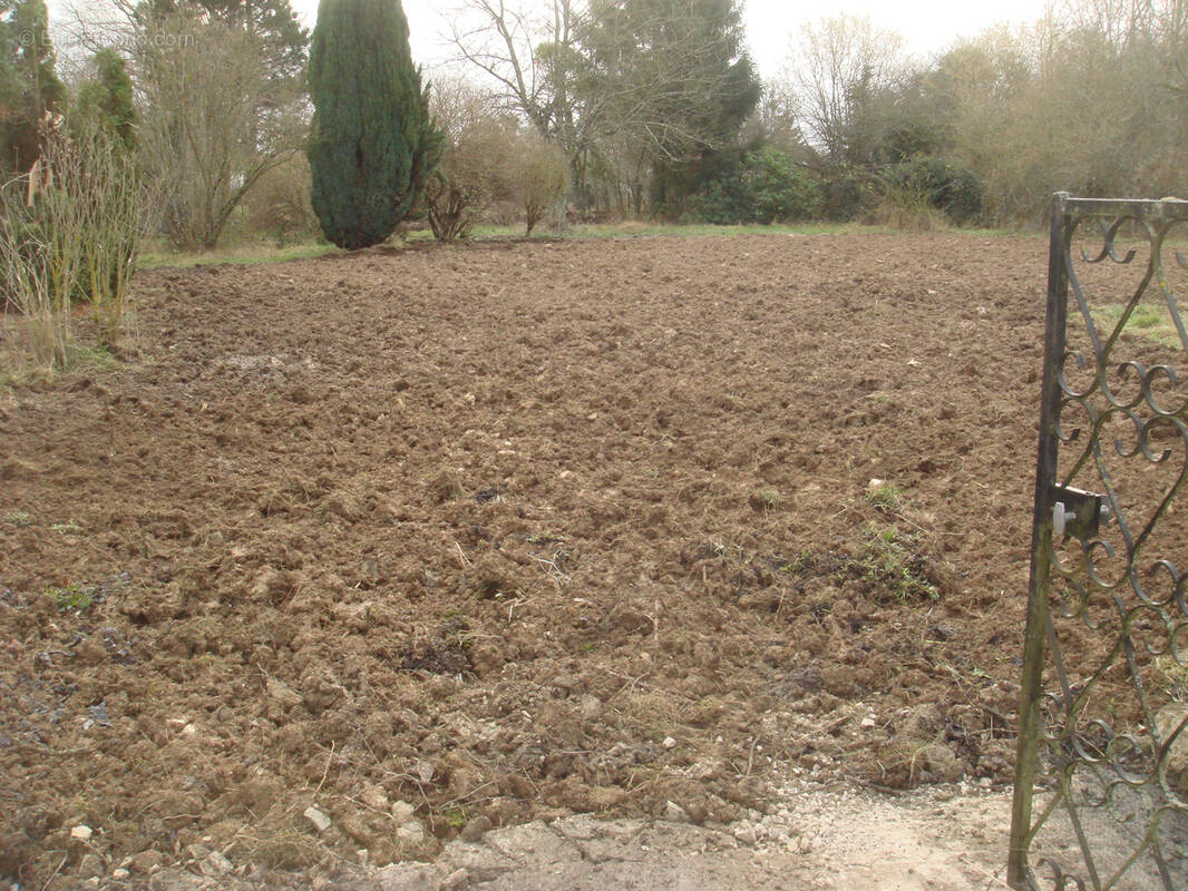 Terrain à JEUGNY