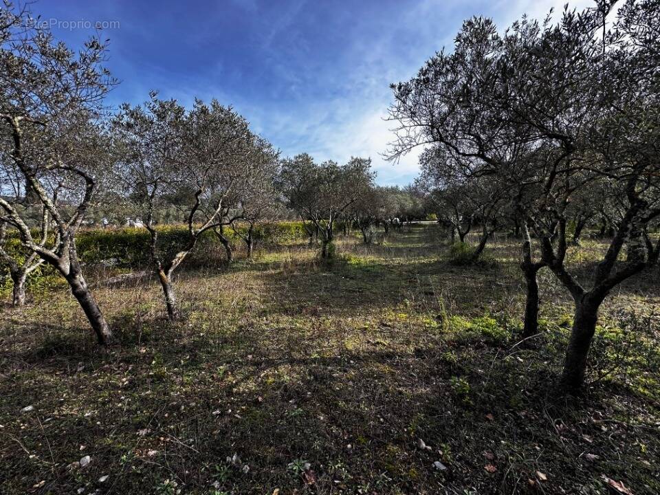 Terrain à LORGUES