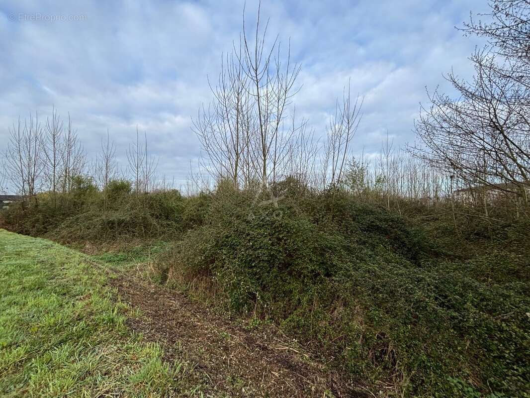 Terrain à MORANNES