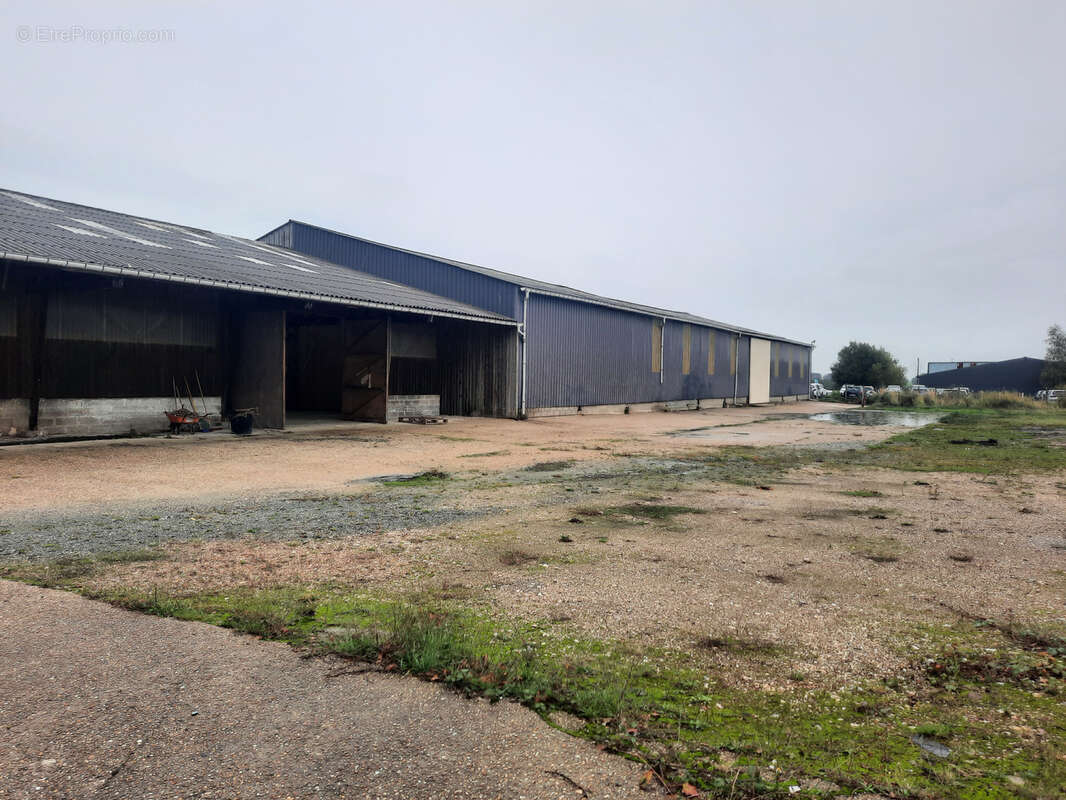 Terrain à EPREVILLE