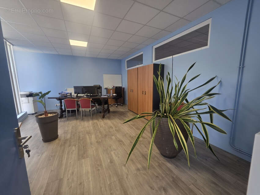 Appartement à SAINT-GEORGES-DE-MONS